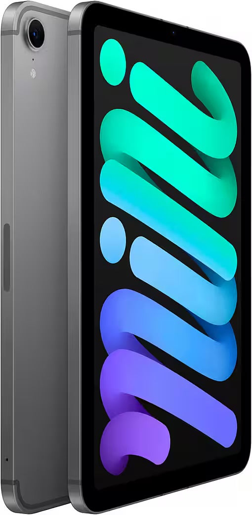 iPad mini 2024 Wi-Fi + Cellular 512 Go Tablette